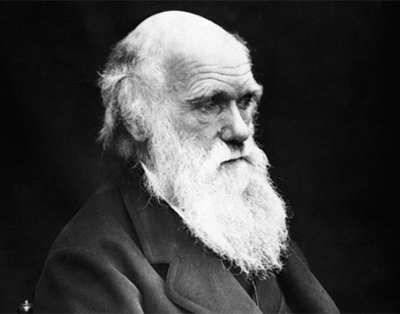 Charles Darwin - teoría de la evolución - darwin - darwinismo