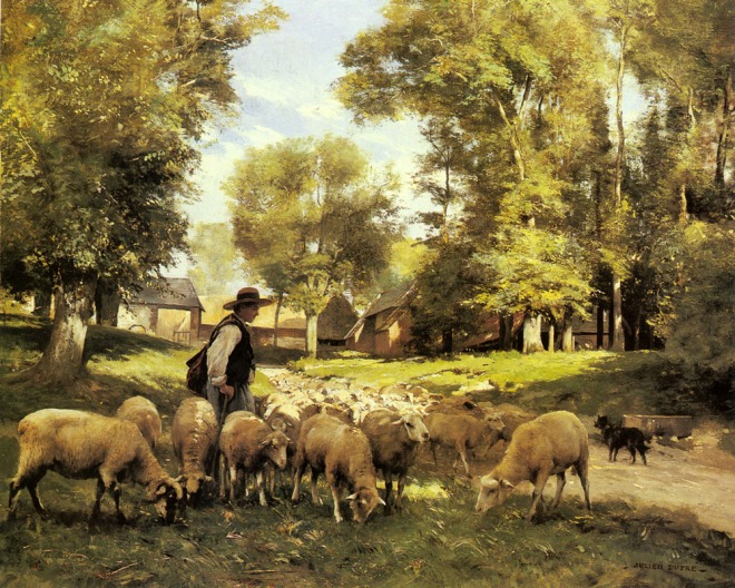 pastor con ovejas, paisaje, paz, tranquilidad, orden, Shepherd